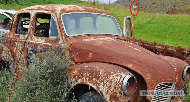 Застывшие во времени