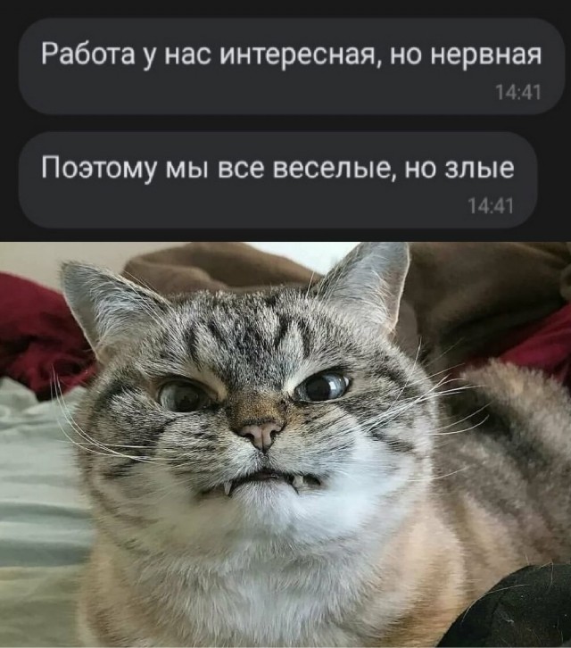 Среды картинки