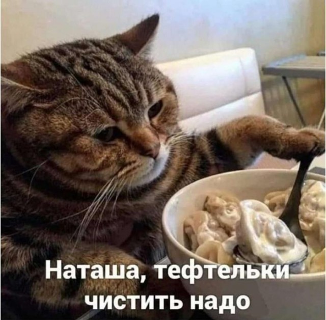 Картинки для деградации 142 (разной степени свежести)