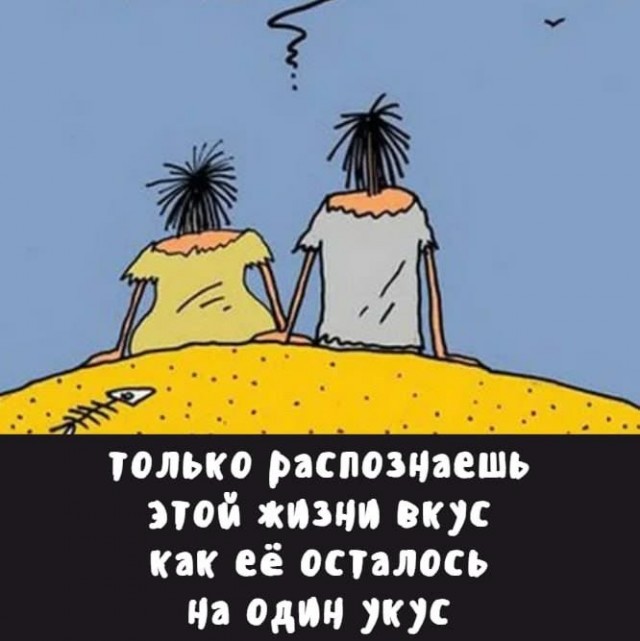 Тема дня