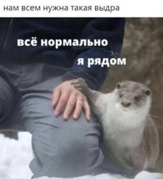 Субботние картинки