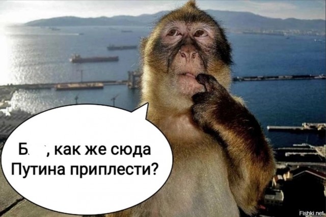 Поднимем ЯП с колен!