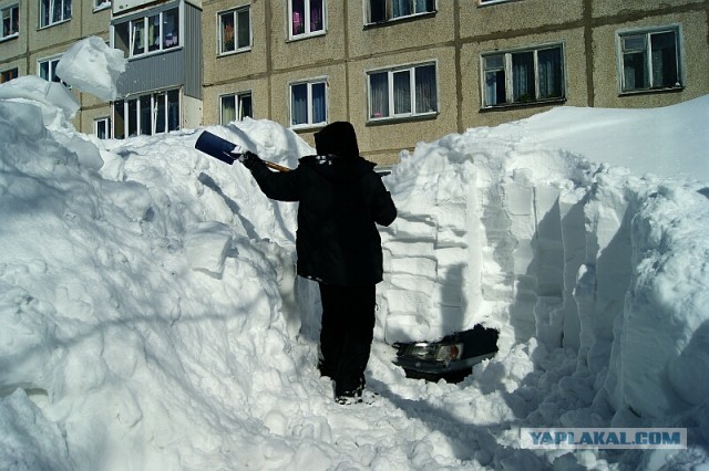 Весна на Сахалине!