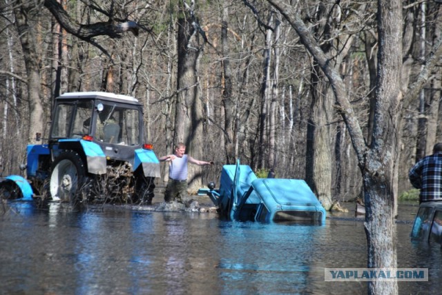 2121 или 33 года