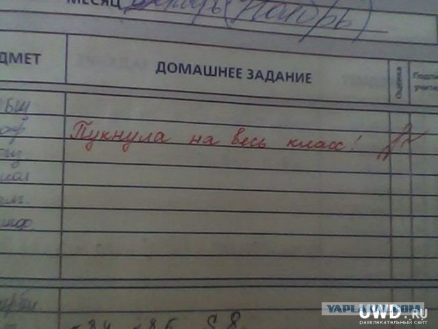 Дневник школьника.