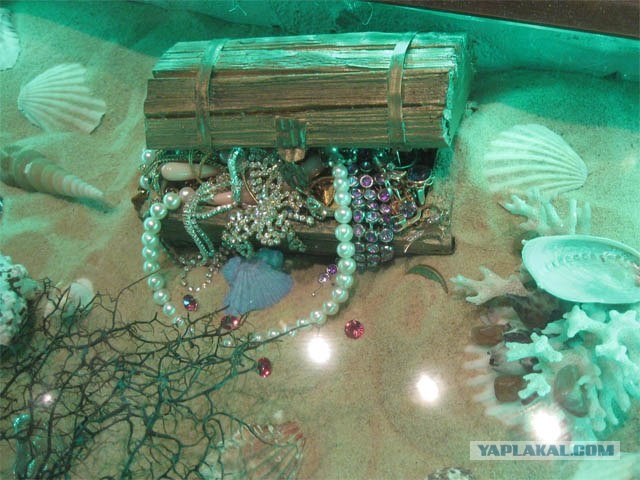 Что можно сделать из куска доски?