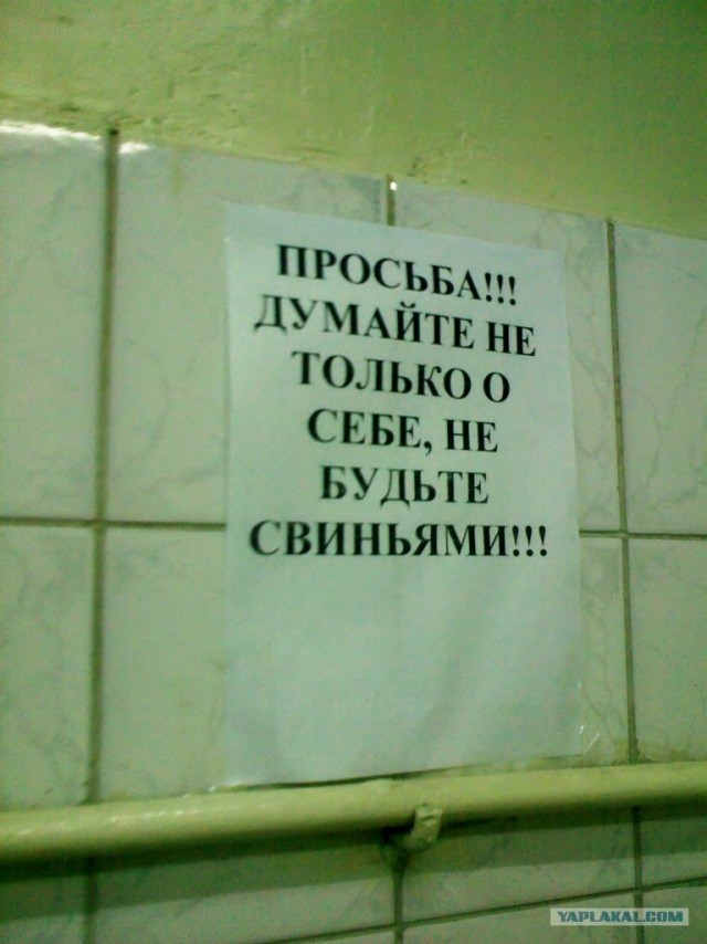 Прикольные фотки с мобильника