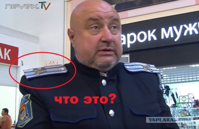 Как казаки за продуктами ходили