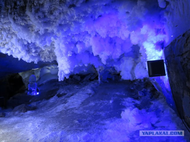 За что я люблю свой край