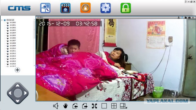 За что я люблю китайцев