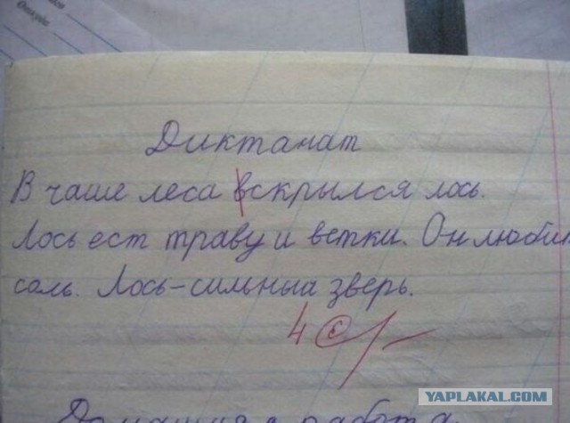 Глядь...