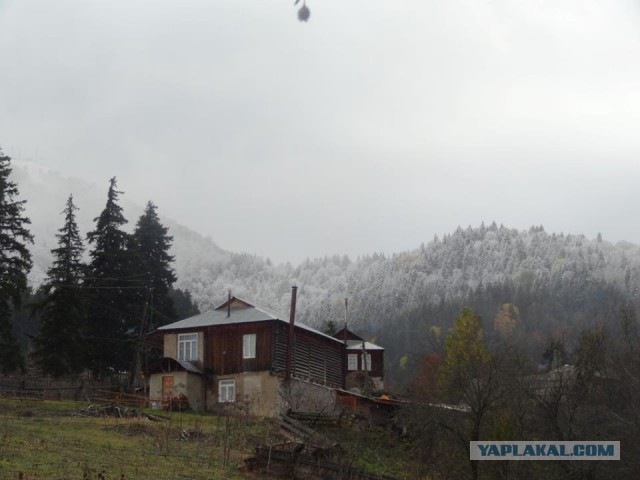 Природа "альпийской" Грузии