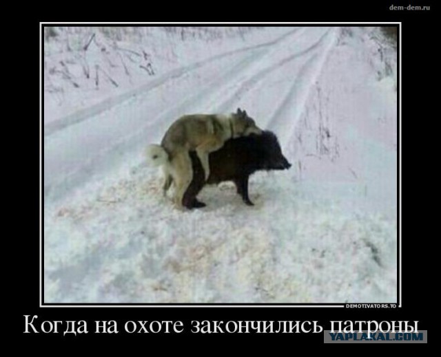 Охотничьи байки