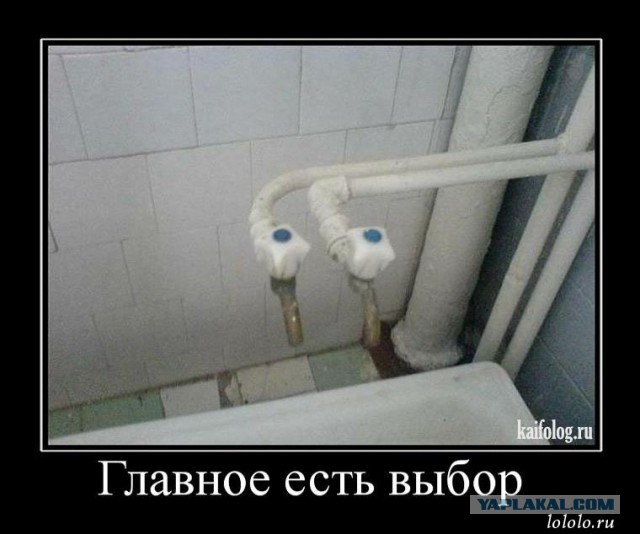 Картинки в черных рамках с подписями