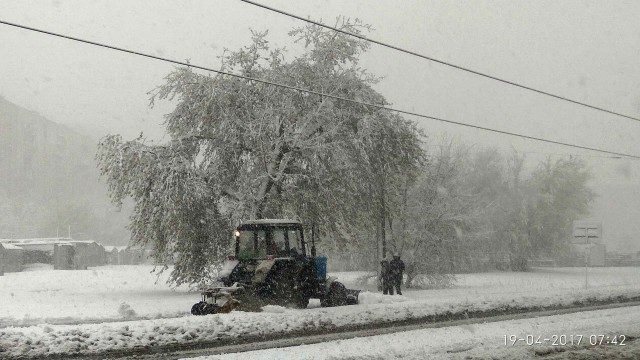 19 апреля или 78 февраля7
