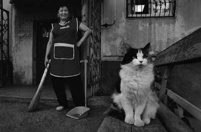 Фотограф из Казахстана показывает нам тайный мир бродячих кошек
