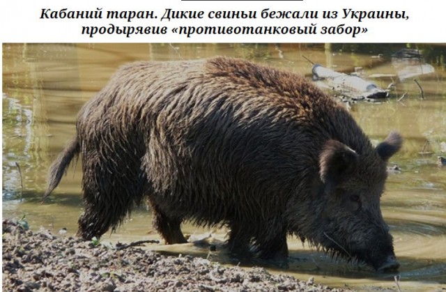 7 мест Украины, посетить которые решаются далеко не все туристы