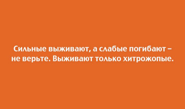 20 саркастичных открыток о жизни