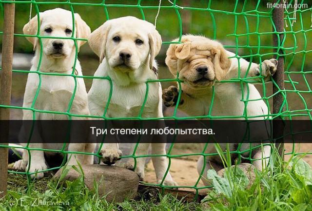 Просто юмор №28