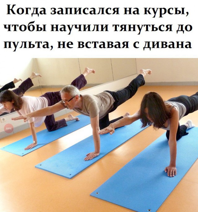 Прикольные картинки обо всём