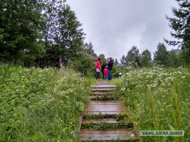 Петрозаводск. Карелия