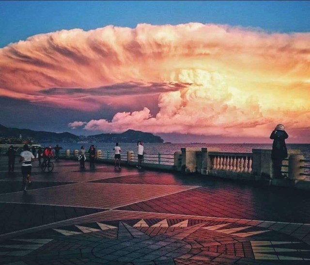 Перед бурей