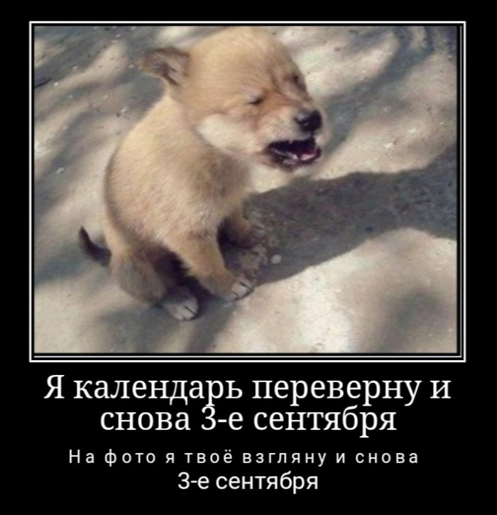 Привет, друзья