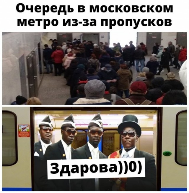 Немного картинок для настроения 17.04.20