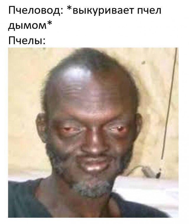 Так себе картинки 06.07.20