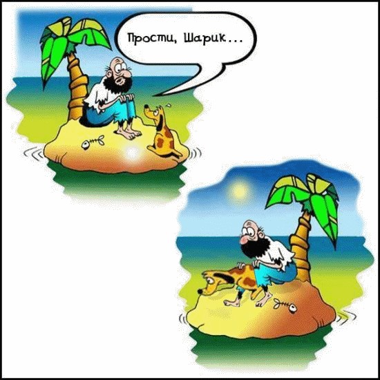 Фотожаба: Шарик