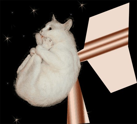 Котэ-креведко