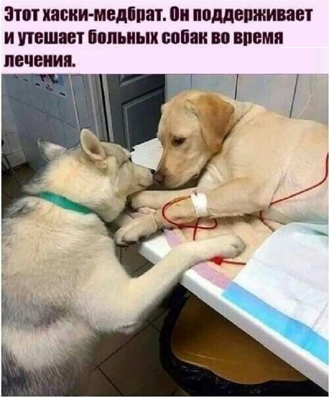Картинки с надписями и всякие жизненные фразы
