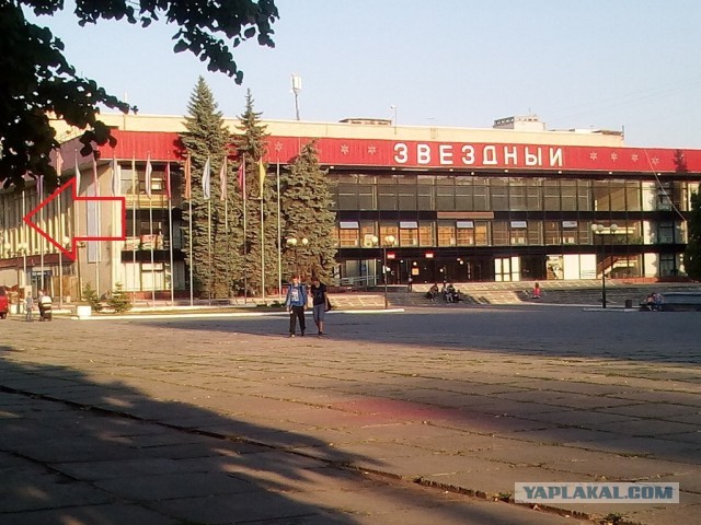Мы вернули Липецку советскую "Гвоздику"