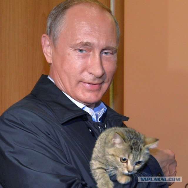 Кто если не Путин?(опрос)