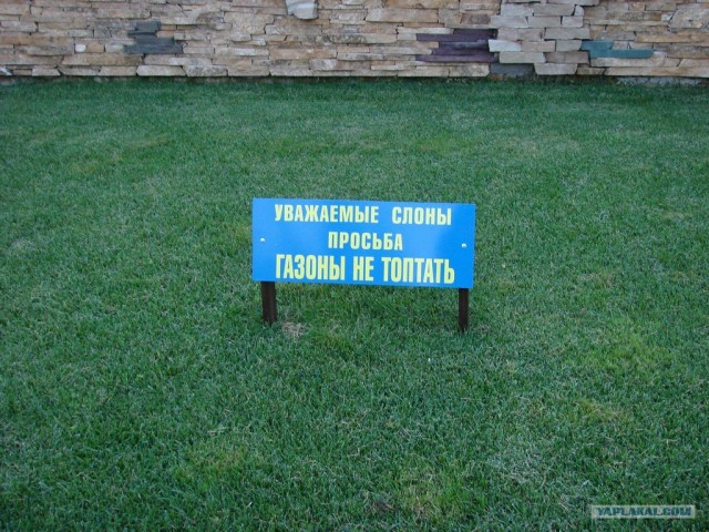 Вежливо и доходчиво