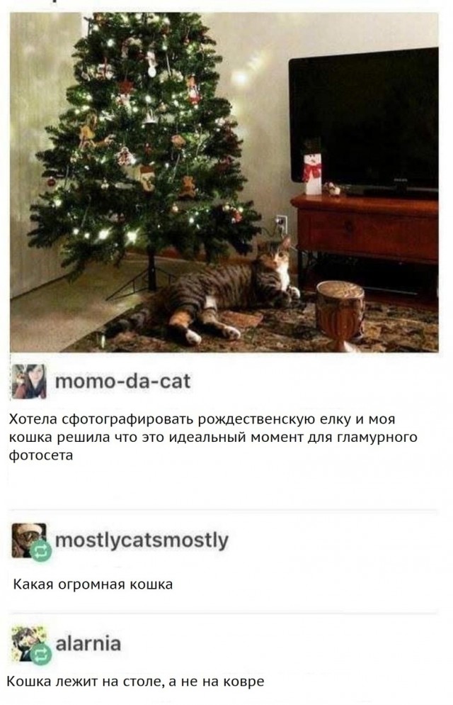 Немного картинок и прочей хреноты Vol. 15