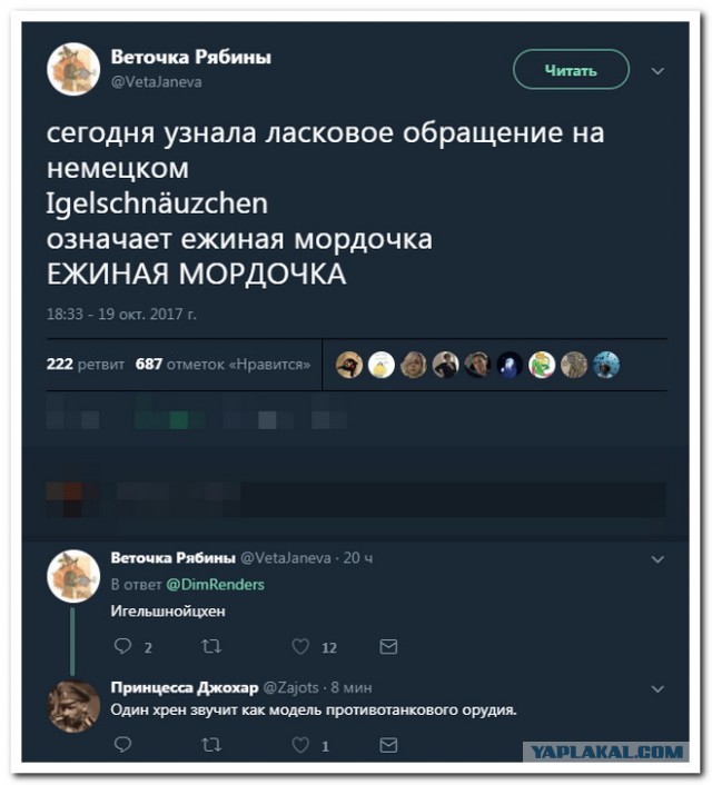Забавные комментарии из социальных сетей (20.06.22)