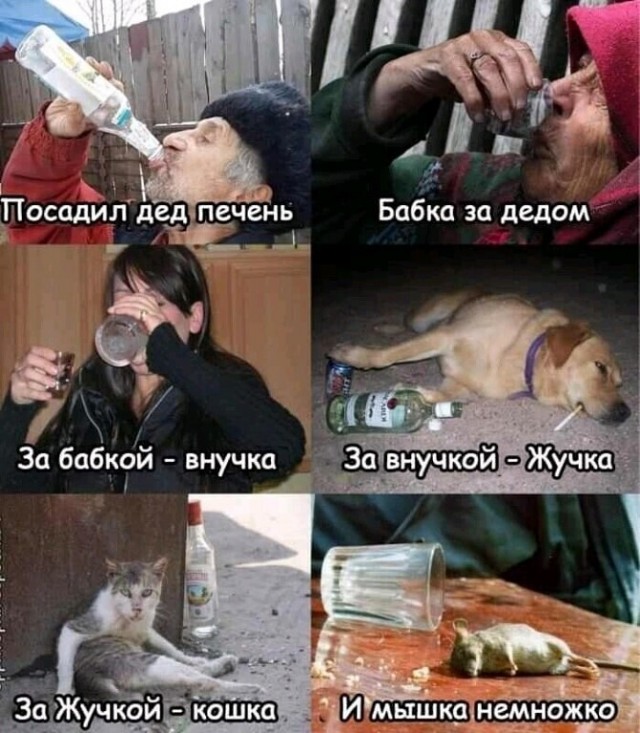 Юмор в картинках и без 23.08.22