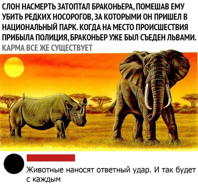 Картинки и мемы. Выходные близко...
