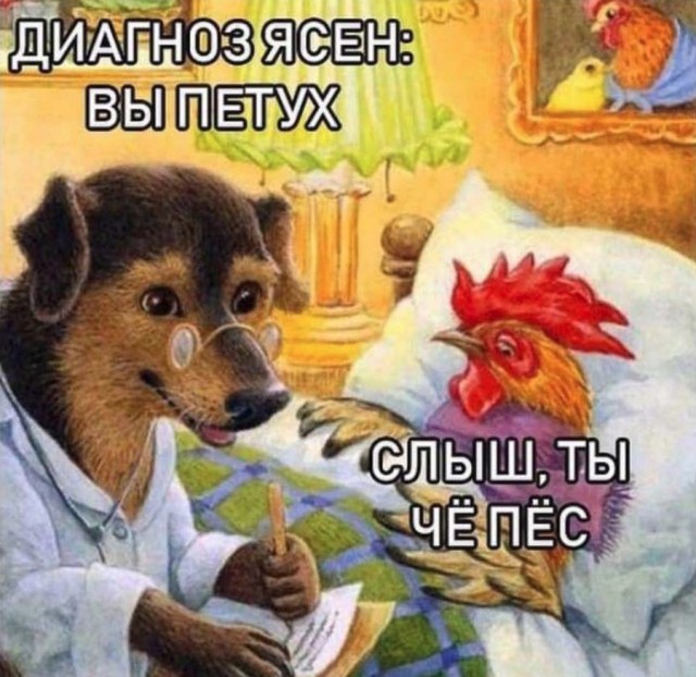Ушел на радугу. Спасибо тебе за всё