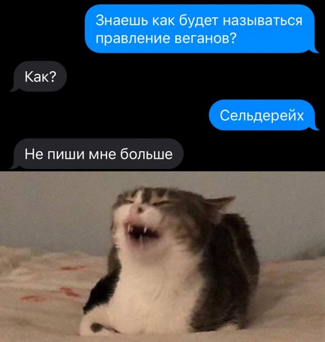 Картинки и мемы, всем хороших выходных
