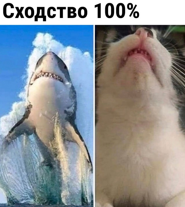 Так себе картинки 28.01.23