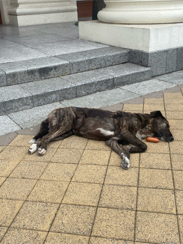 Всех с субботой