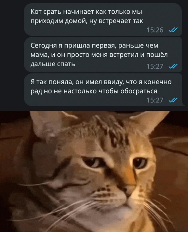 Юмор в картинках и без