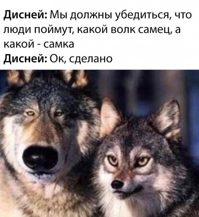 Нуштош 05.09.2023