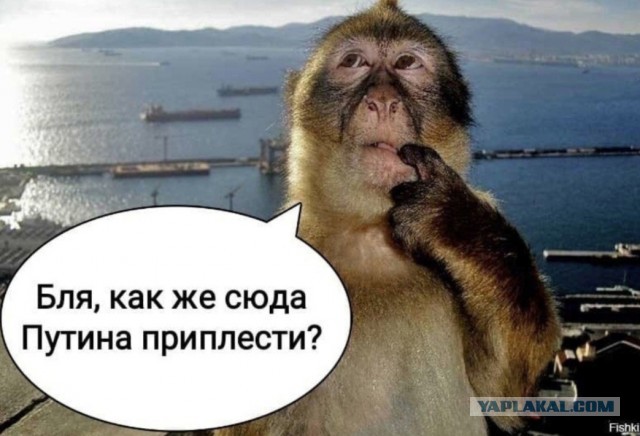 Все мировые СМИ забыли про Украину и Зеленского