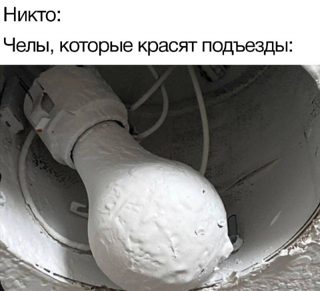 Весёлый полтишок 12.11.23