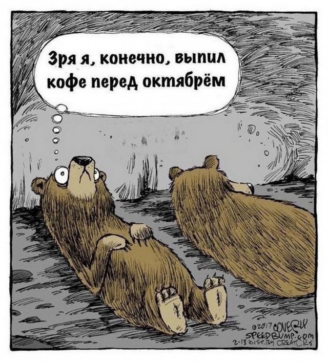 Всего понемногу. От 18.12.23