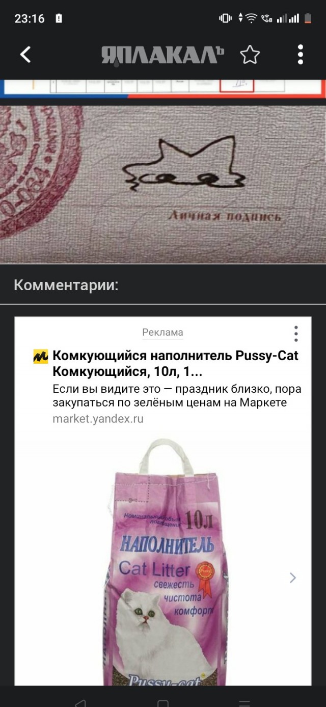 ЦИК посчитал странной подпись котиком участника инициативной группы Екатерины Дунцовой