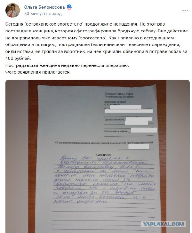 В Астрахани зоозащитники схватили пенсионера за грудки и обвинили в травле собак